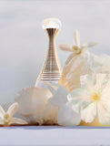 J’adore Parfum d’Eau Dior 100ml