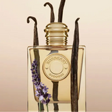 Goddess Burberry 100ml