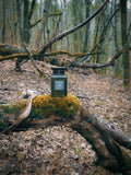 Oud Wood Tom Ford 100ml